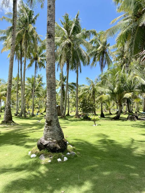 summer-escape-tufting-inspiration-philippines-4-mogiostudio
