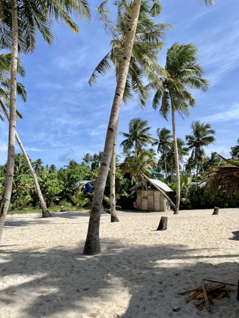 summer-escape-tufting-inspiration-philippines-mogiostudio