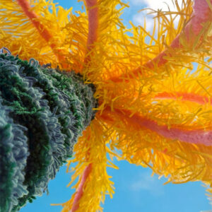 grand-palmier-sculpture-textile-details-fiberart-mogiostudio